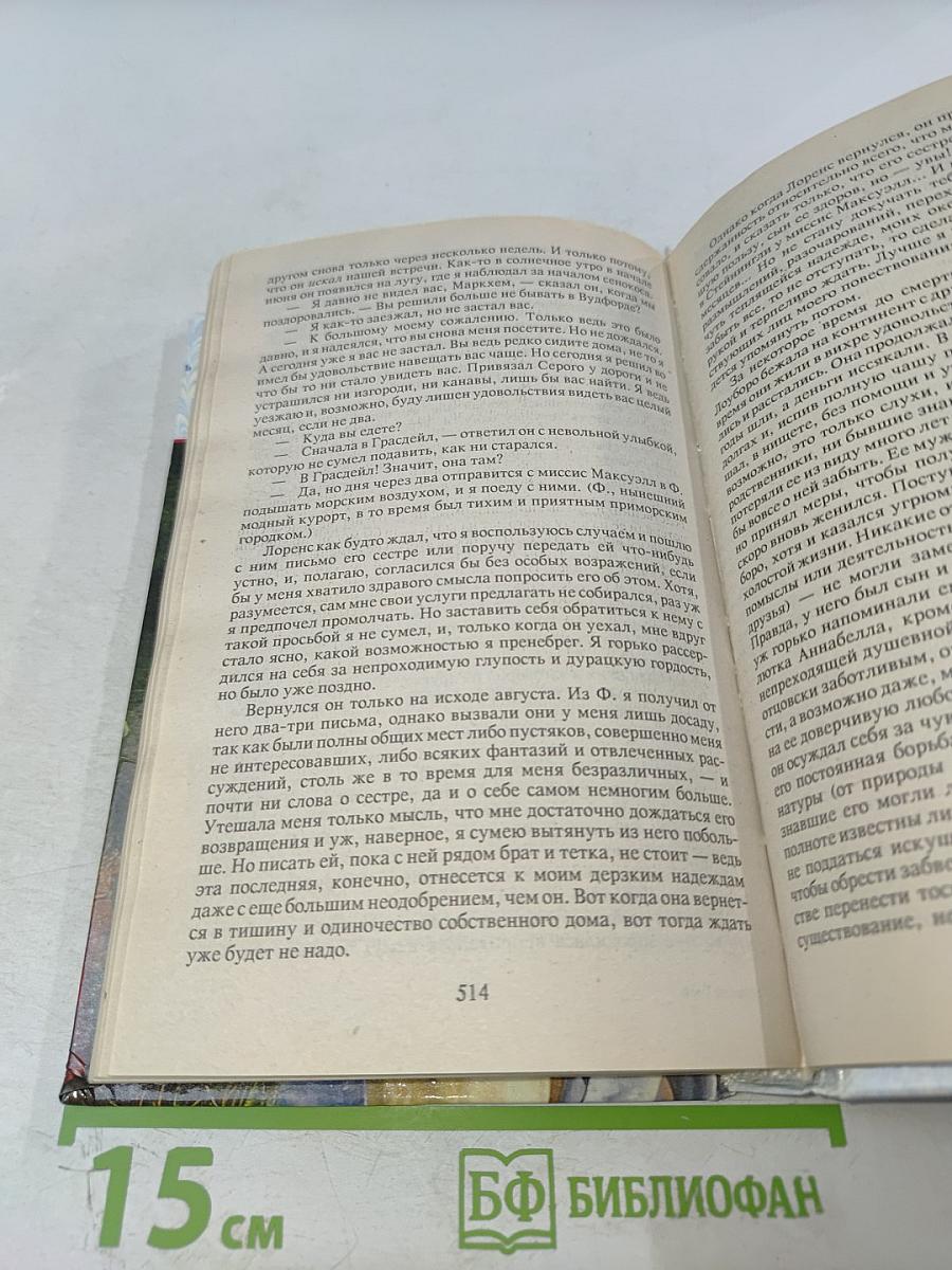 Агнес Грей. Незнакомка из Уайлдфелл-Холла