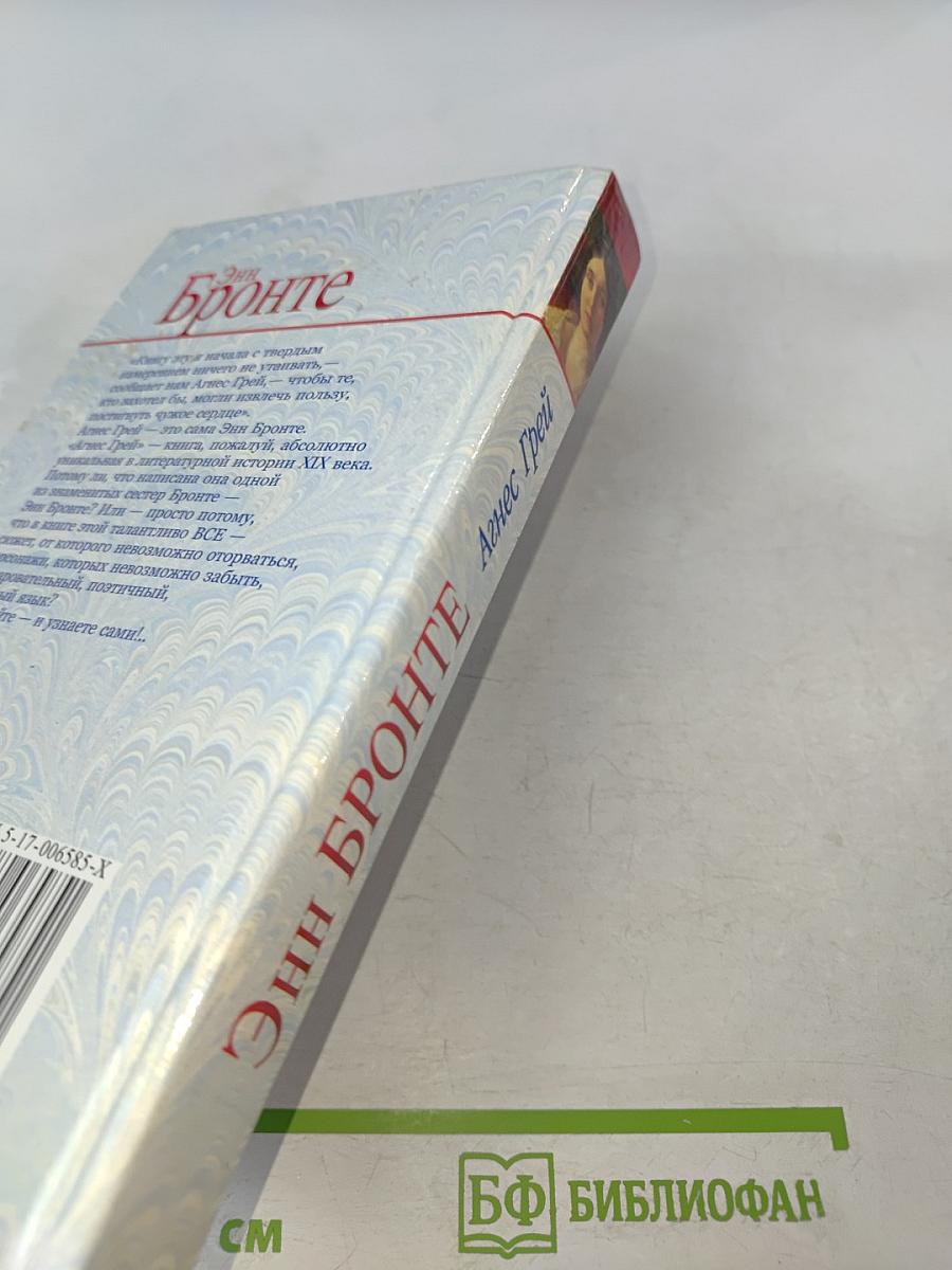 Агнес Грей. Незнакомка из Уайлдфелл-Холла