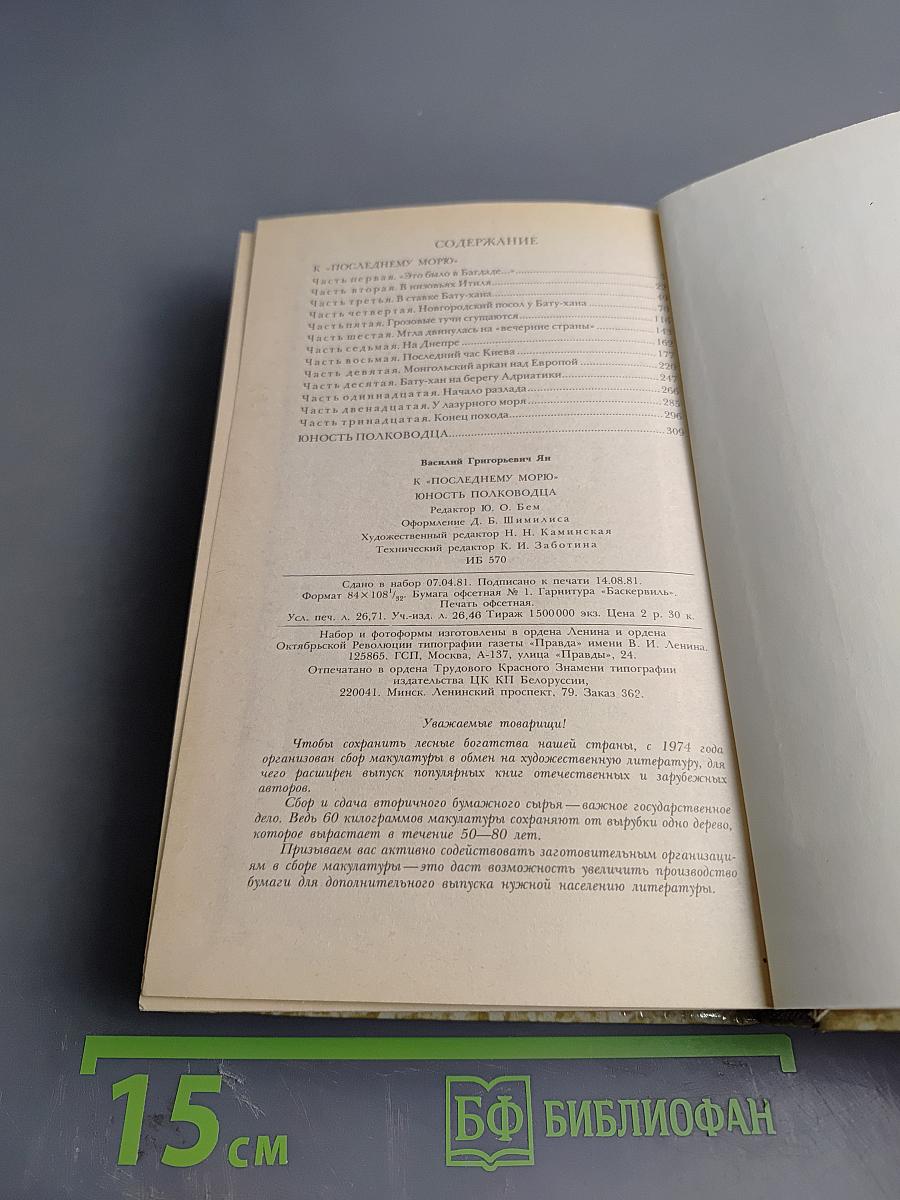 К последнему морю. Юность полководца