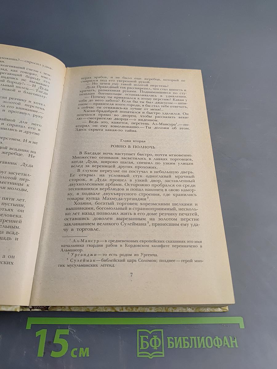 К последнему морю. Юность полководца