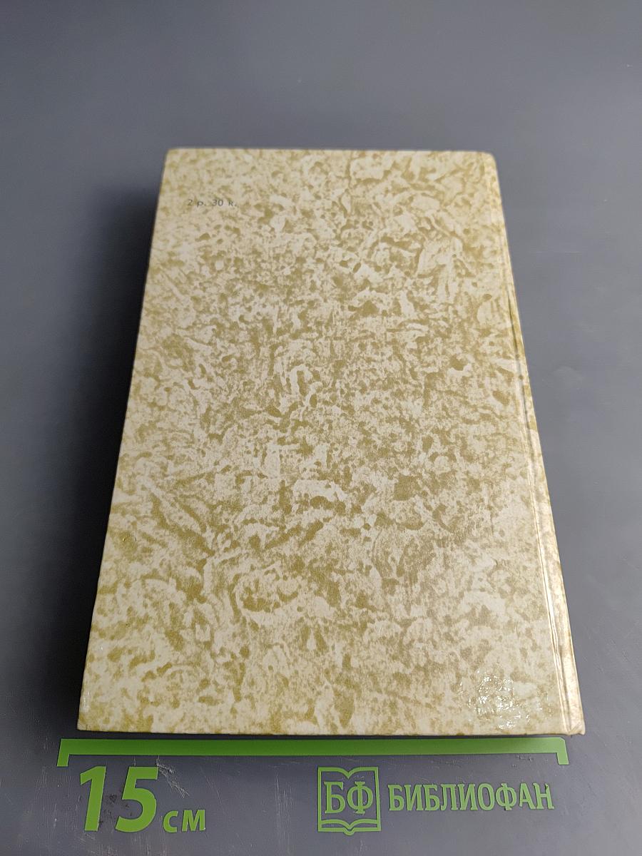 К последнему морю. Юность полководца