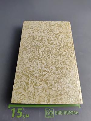 К последнему морю. Юность полководца