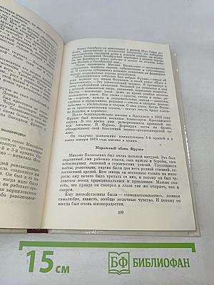 О Михаиле Фрунзе: Воспоминания, очерки, статьи современников