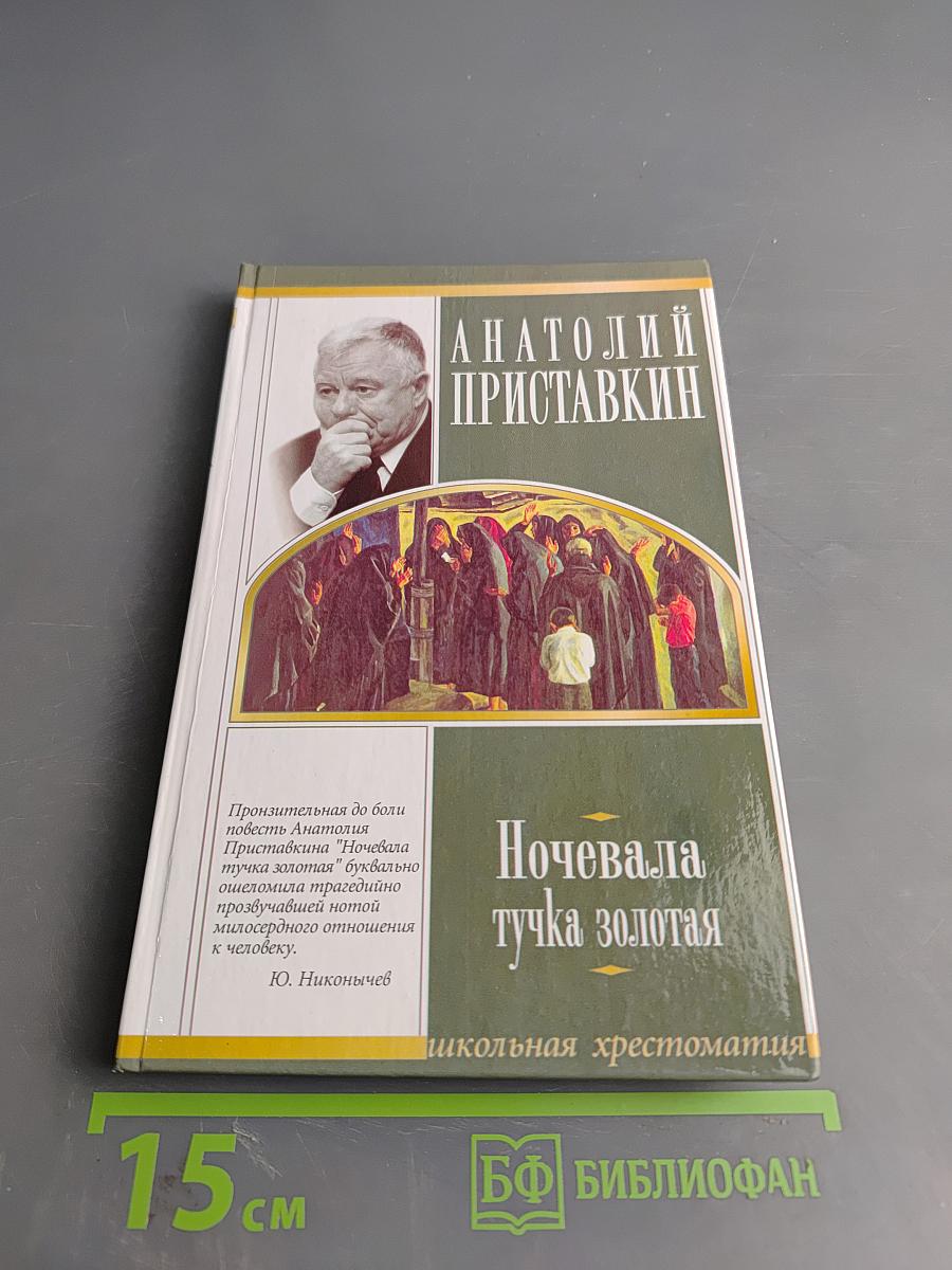 Ночевала тучка золотая (Школьная хрестоматия)