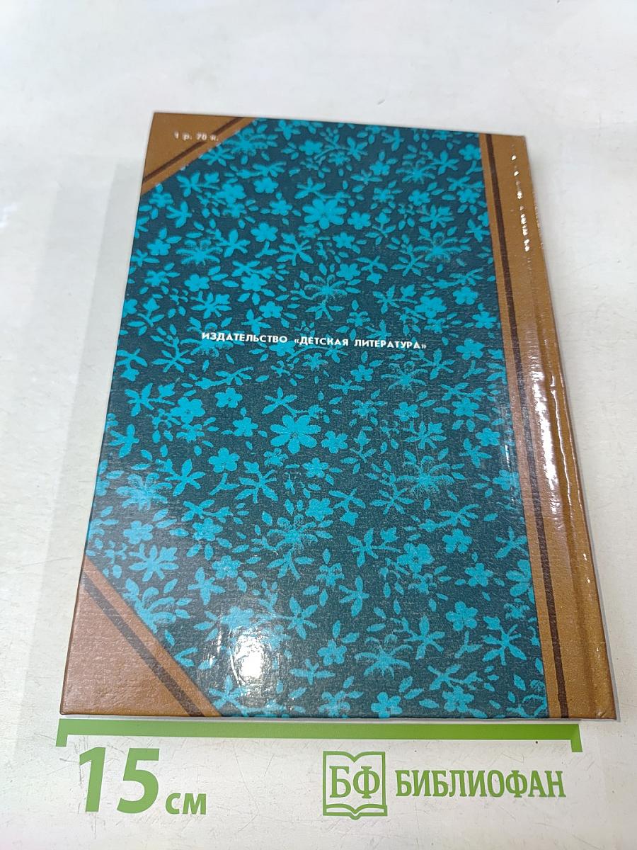 Зимние вечера