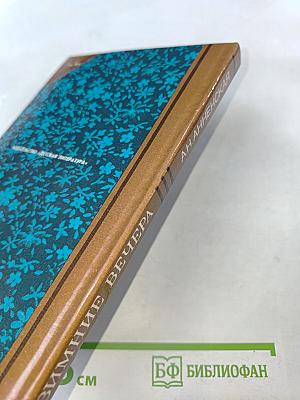 Зимние вечера