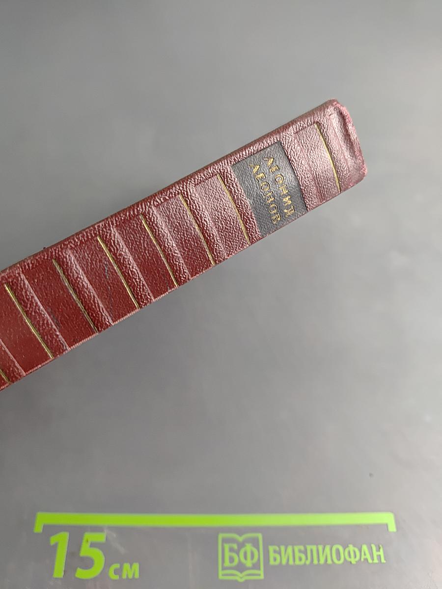 Собрание сочинений. Том пятый. Скутаревский