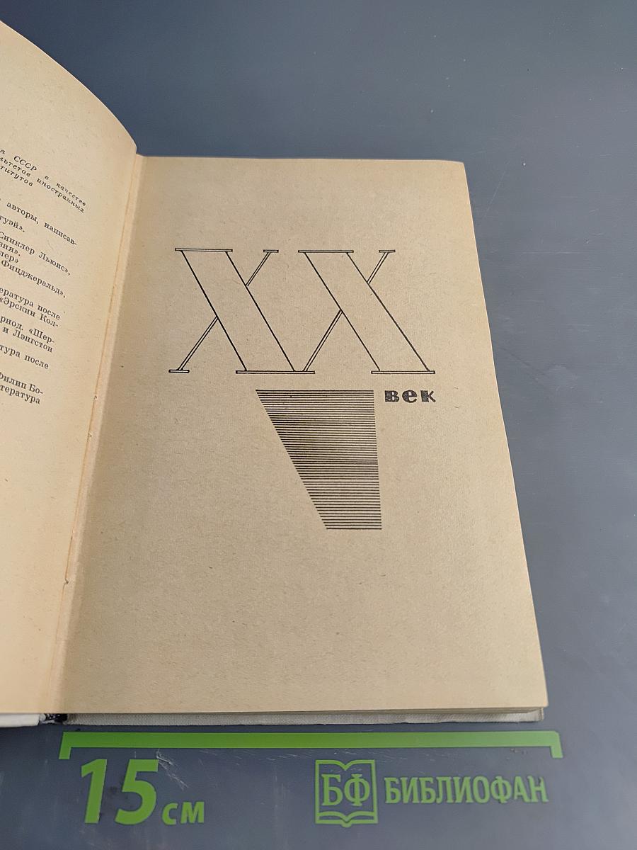 История американской литературы. XX век