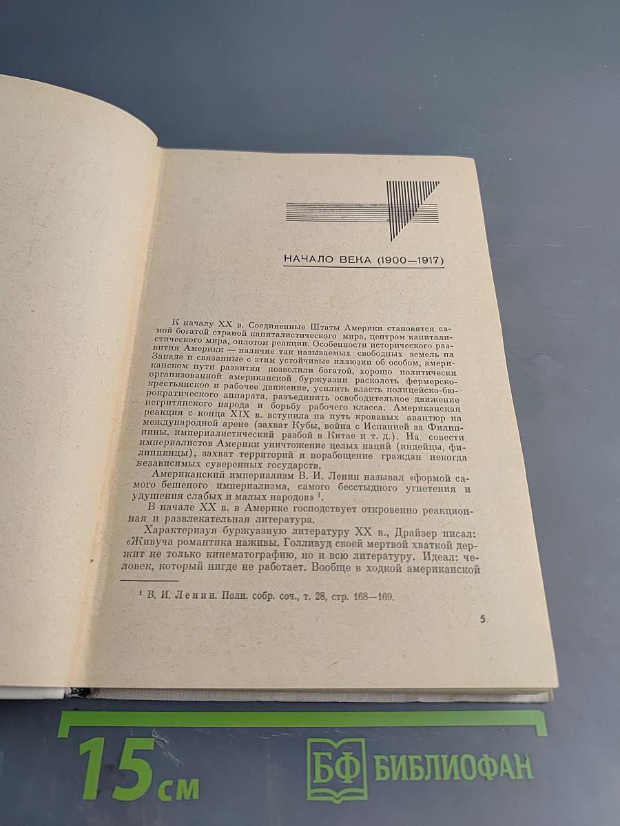 История американской литературы. XX век