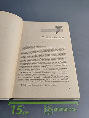 История американской литературы. XX век