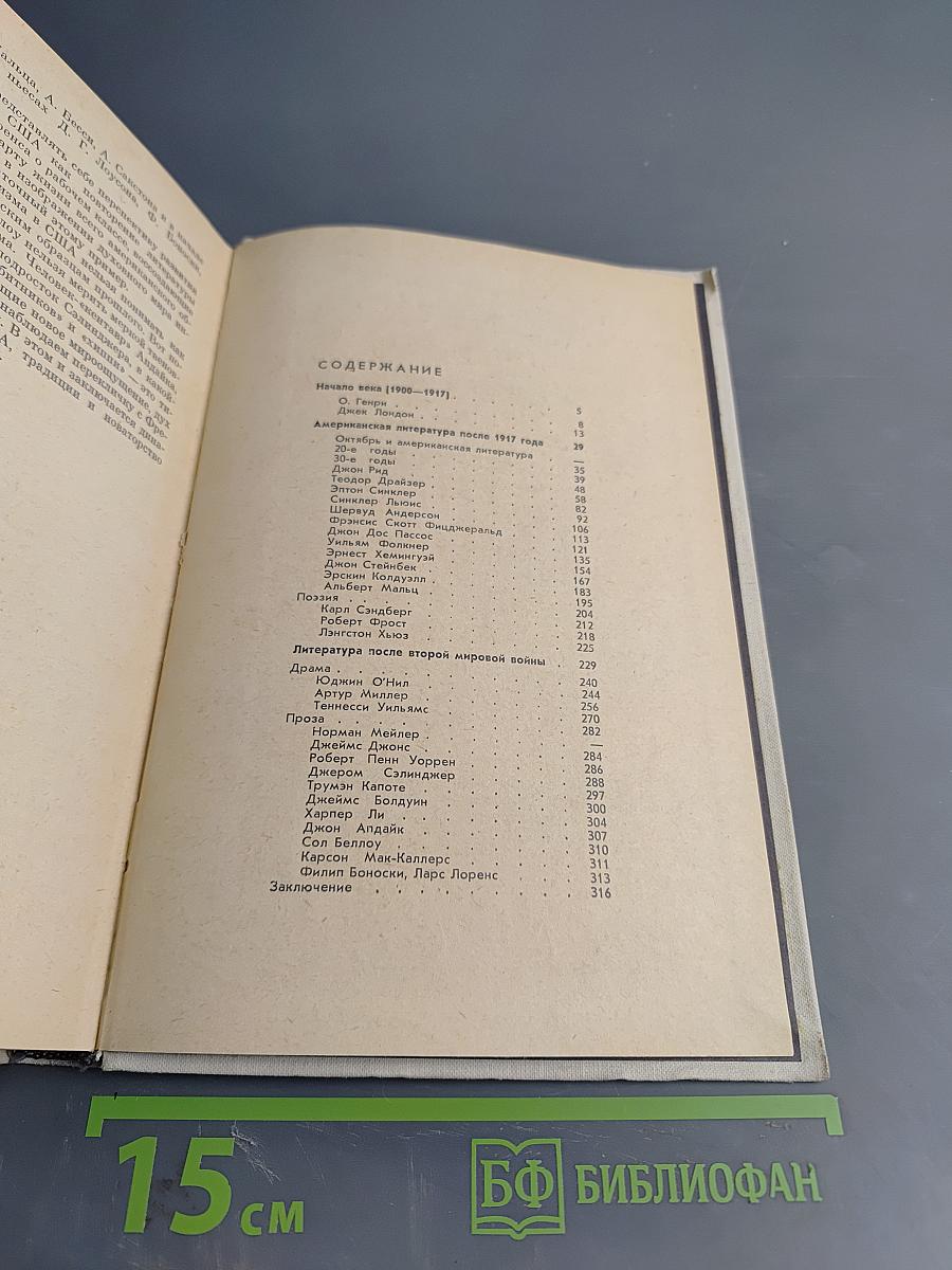 История американской литературы. XX век