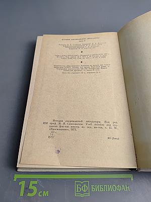 История американской литературы. XX век