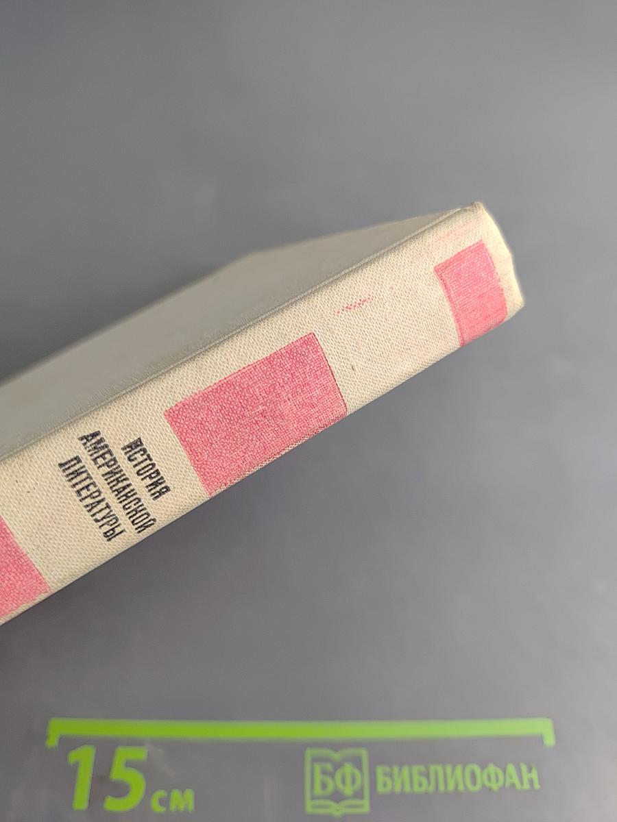 История американской литературы. XX век