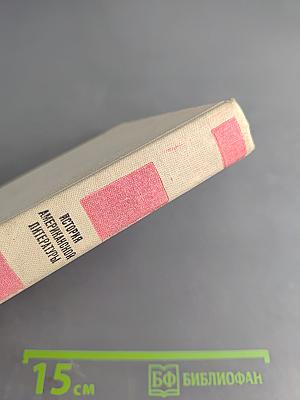 История американской литературы. XX век