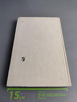 История американской литературы. XX век