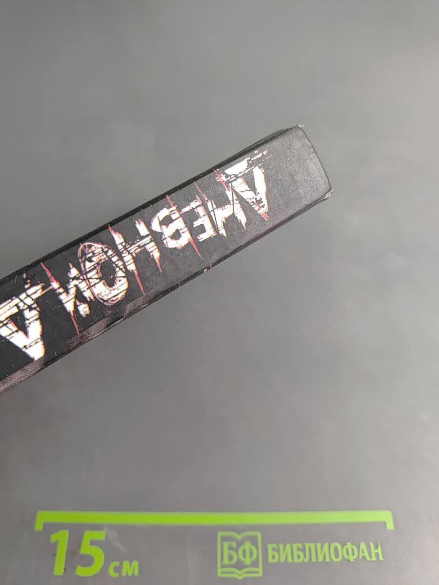 Дневной Дозор