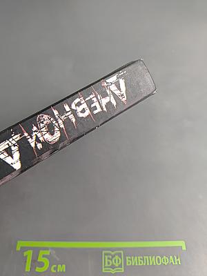 Дневной Дозор