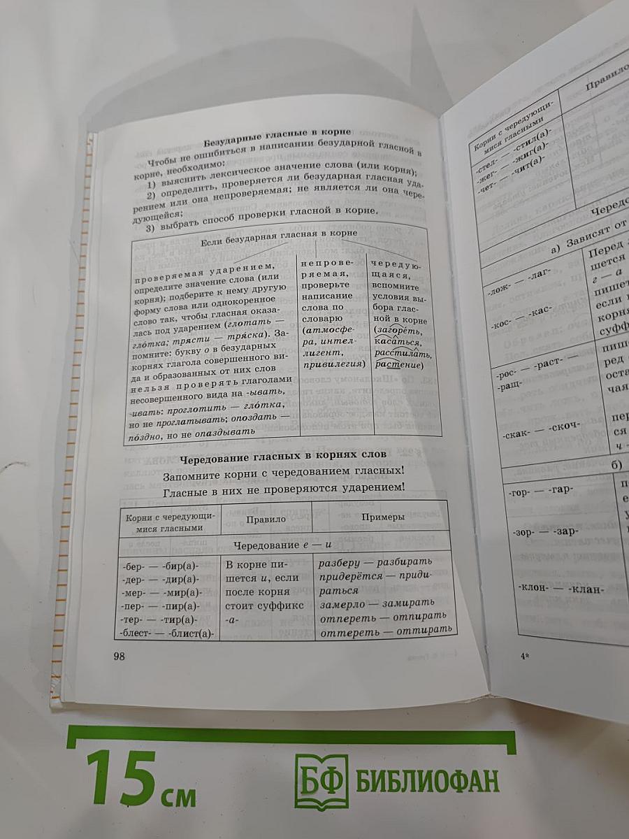 Русский язык 10-11 классы