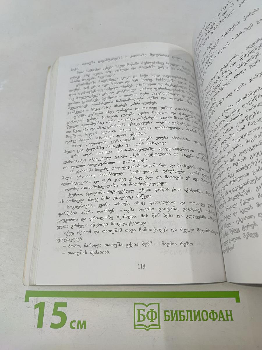 Мегр-Амузгхарги. Том I