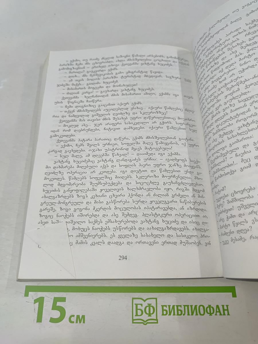 Мегр-Амузгхарги. Том I