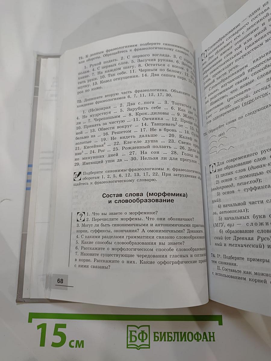 Русский язык. 10-11 классы. Базовый уровень