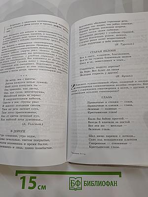 Русский язык. 10-11 классы. Базовый уровень