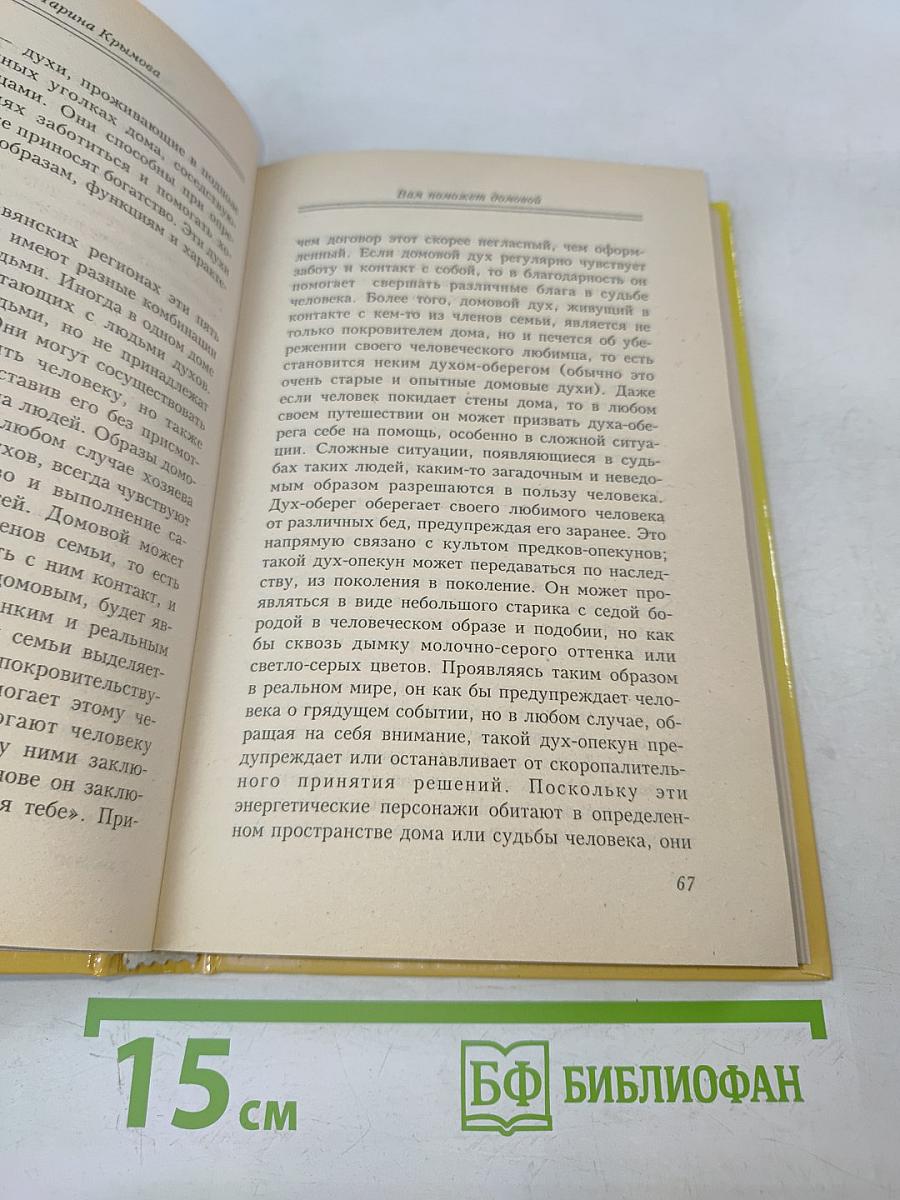 Вам поможет домовой