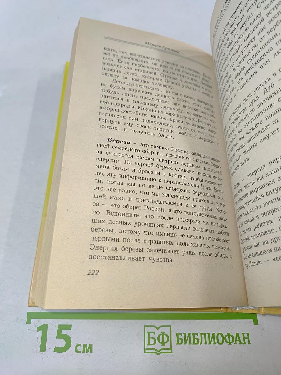 Вам поможет домовой