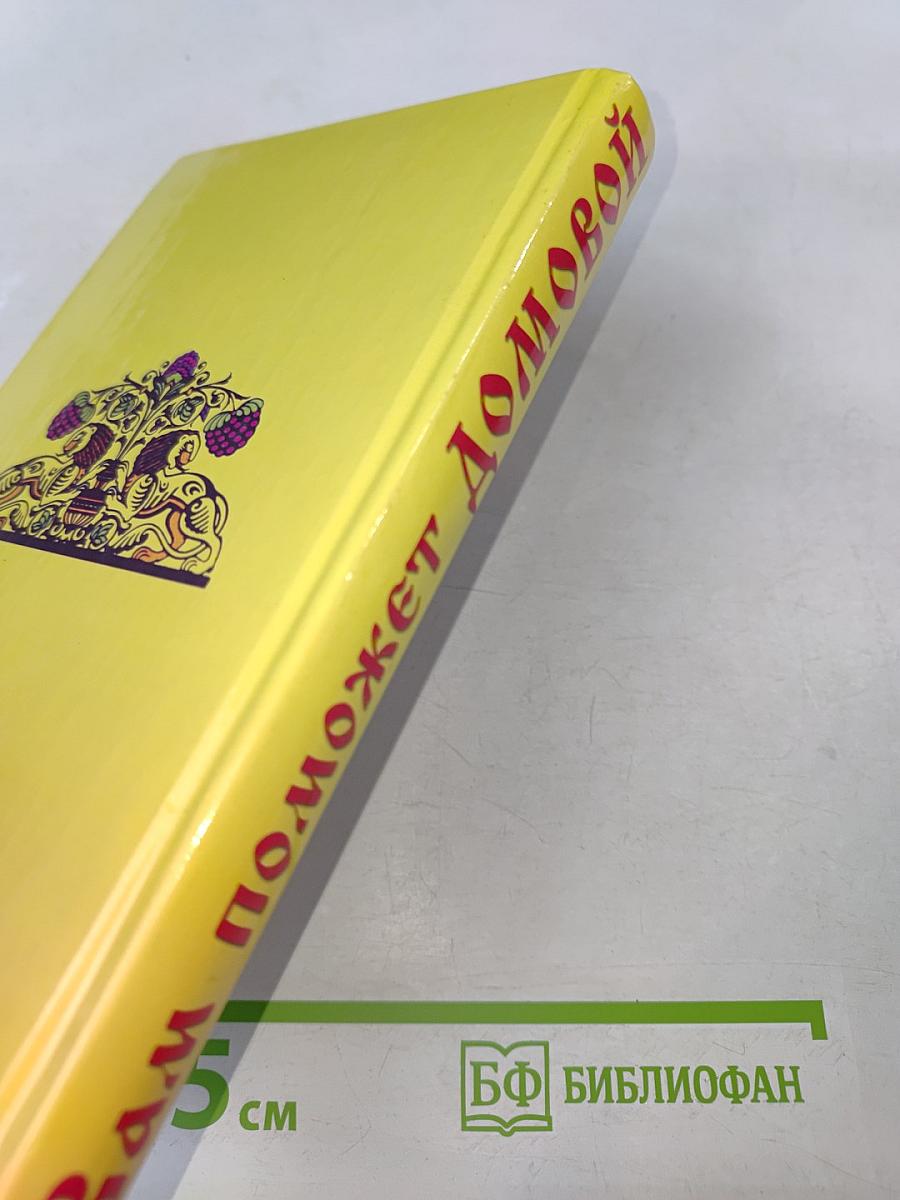 Вам поможет домовой