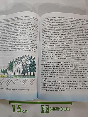 География. География России. Природа. 8 класс