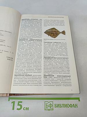 Большая иллюстрированная энциклопедия. Том 10. Евр-Изл.