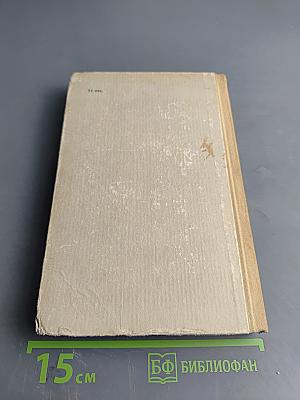 Преступление Кирика Руденко. Поговорим о звездах