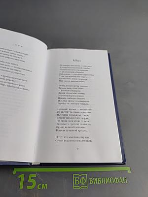 Ночные тени