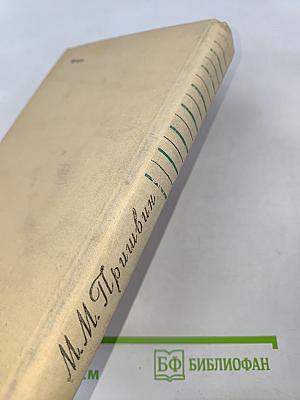 В краю непуганых птиц. Осударева дорога