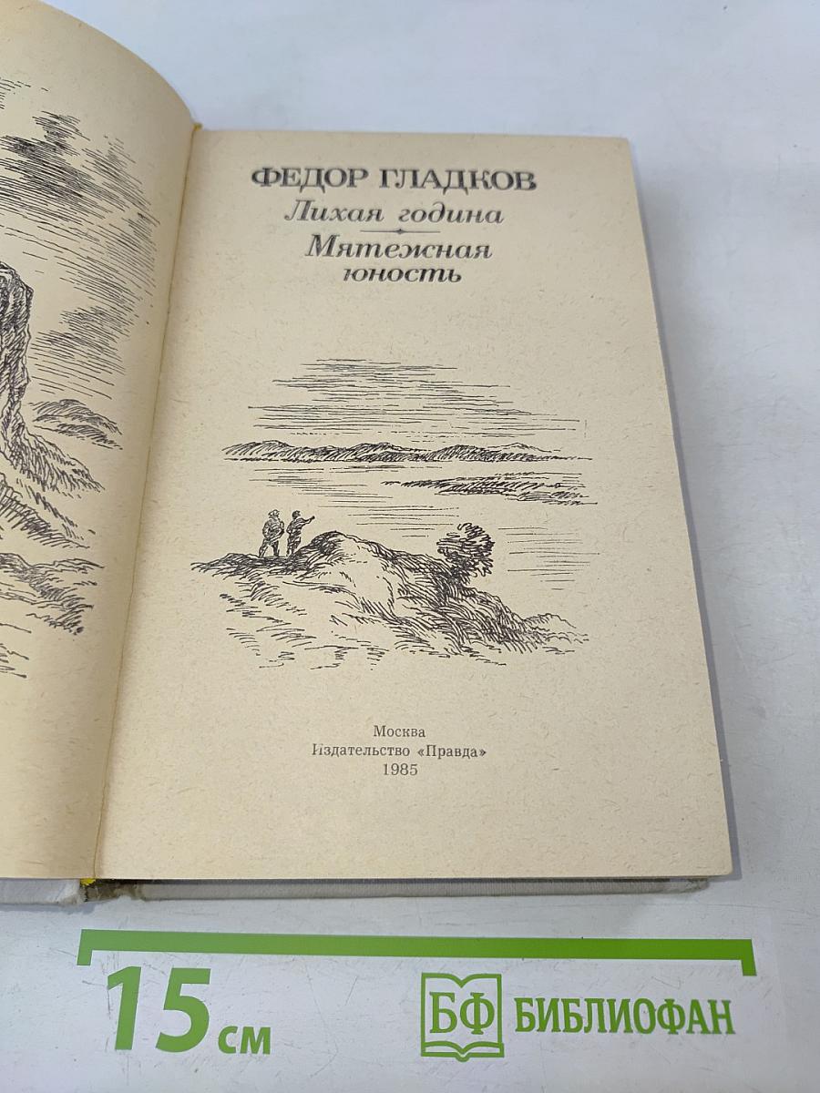 Лихая година. Мятежная юность