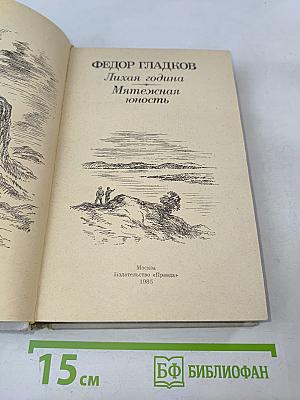 Лихая година. Мятежная юность