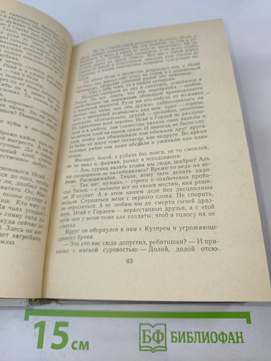 Лихая година. Мятежная юность