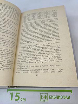 Лихая година. Мятежная юность