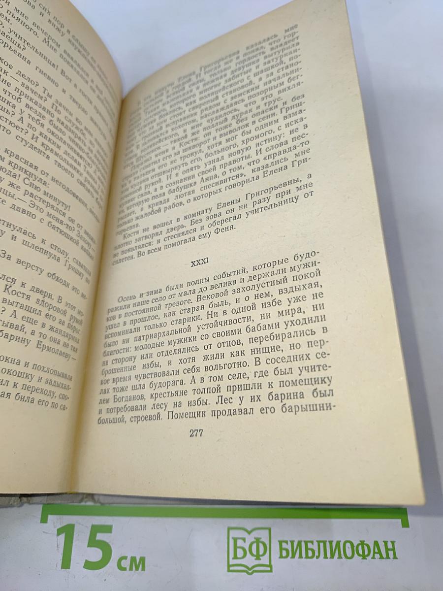 Лихая година. Мятежная юность