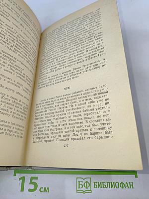 Лихая година. Мятежная юность