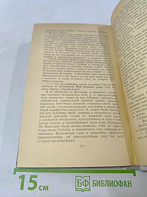 Лихая година. Мятежная юность