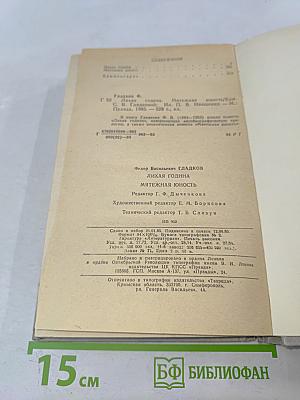 Лихая година. Мятежная юность