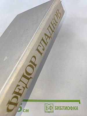 Лихая година. Мятежная юность