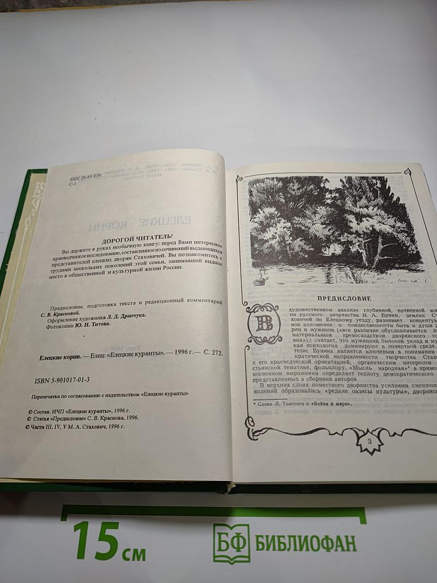 Очерки истории Елецкого уезда. Выпуск 2. Семья Стаховичей. Елецкие корни