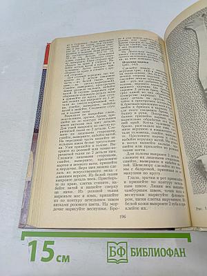 Рукодельница