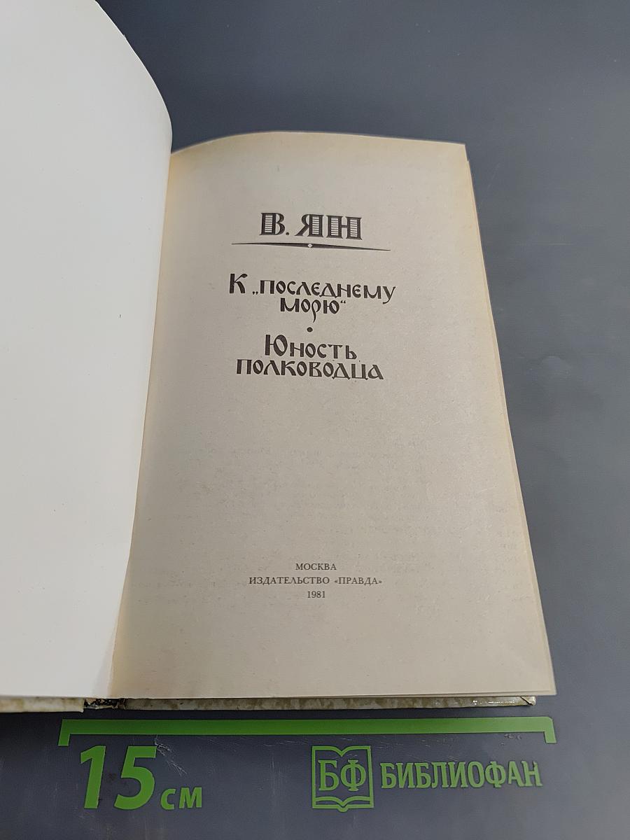 К последнему морю. Юность полководца