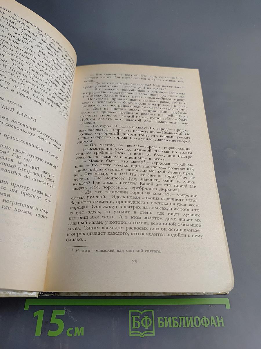 К последнему морю. Юность полководца