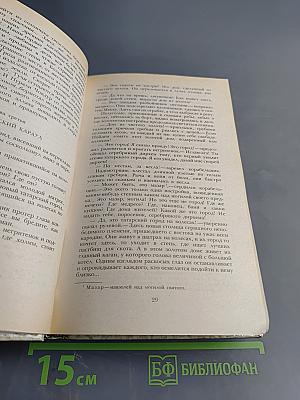 К последнему морю. Юность полководца