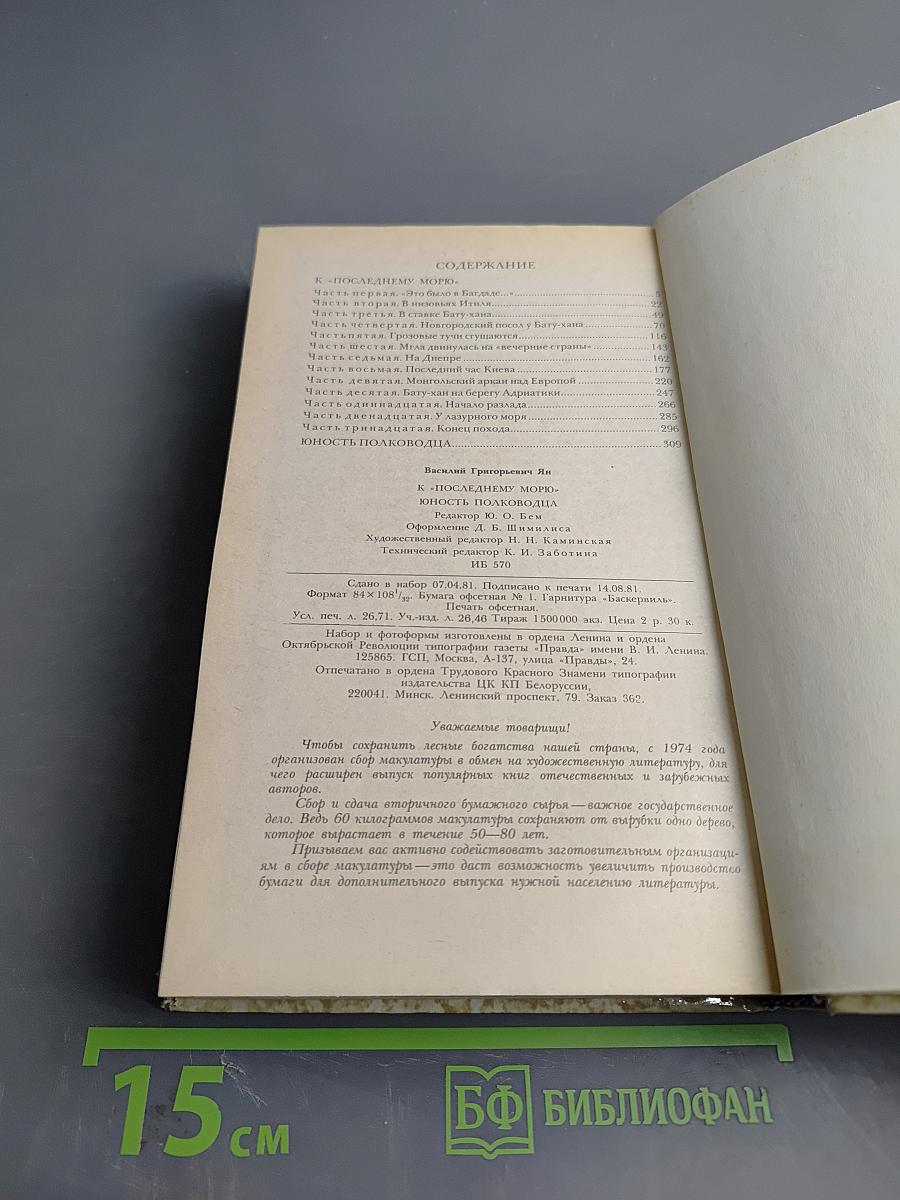 К последнему морю. Юность полководца