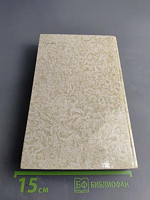 К последнему морю. Юность полководца